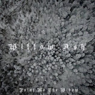 Willow Ash : Paint Me the Widow